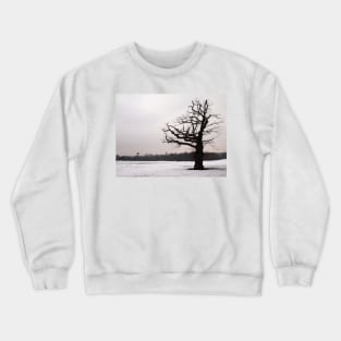 Winter Oak in Morden Park, London Crewneck Sweatshirt